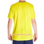 Maillot/Tenue Ecosse Exterieur 2018